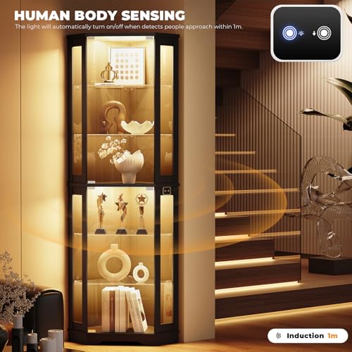 71인치 높이의 코너 진열장(LED 조명 및 유리 선반 - Lighting & Home Decor Studio 리뷰 및 가격